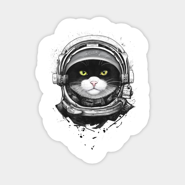 Cosmic cat Sticker by kodamorkovkart